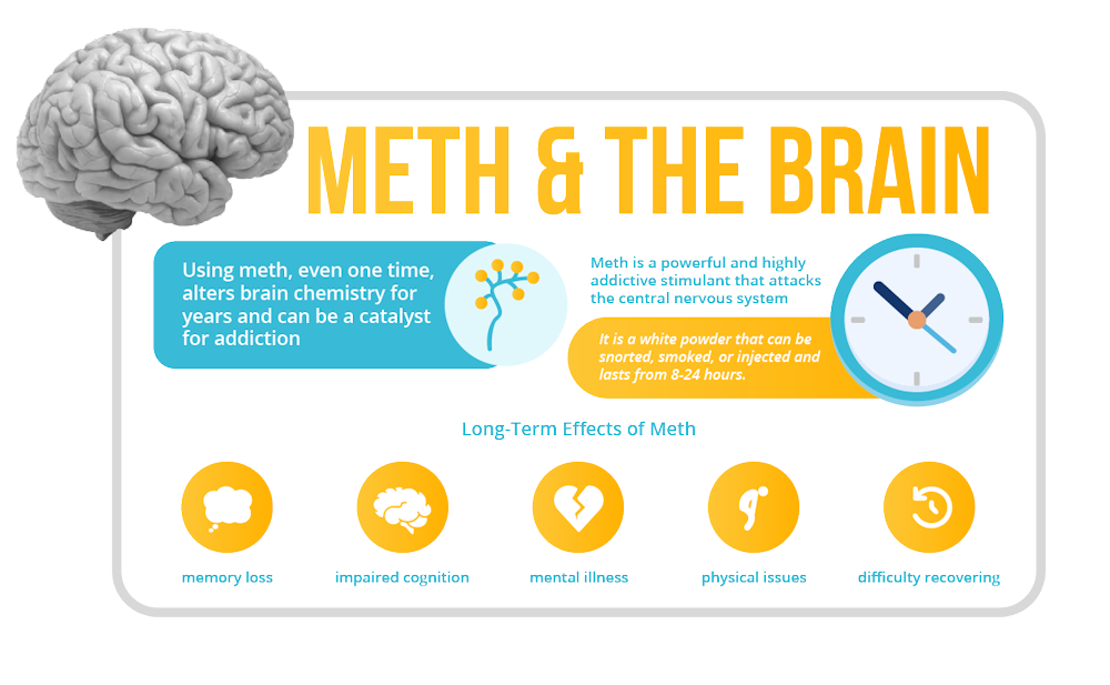 what does meth do to the brain infographics