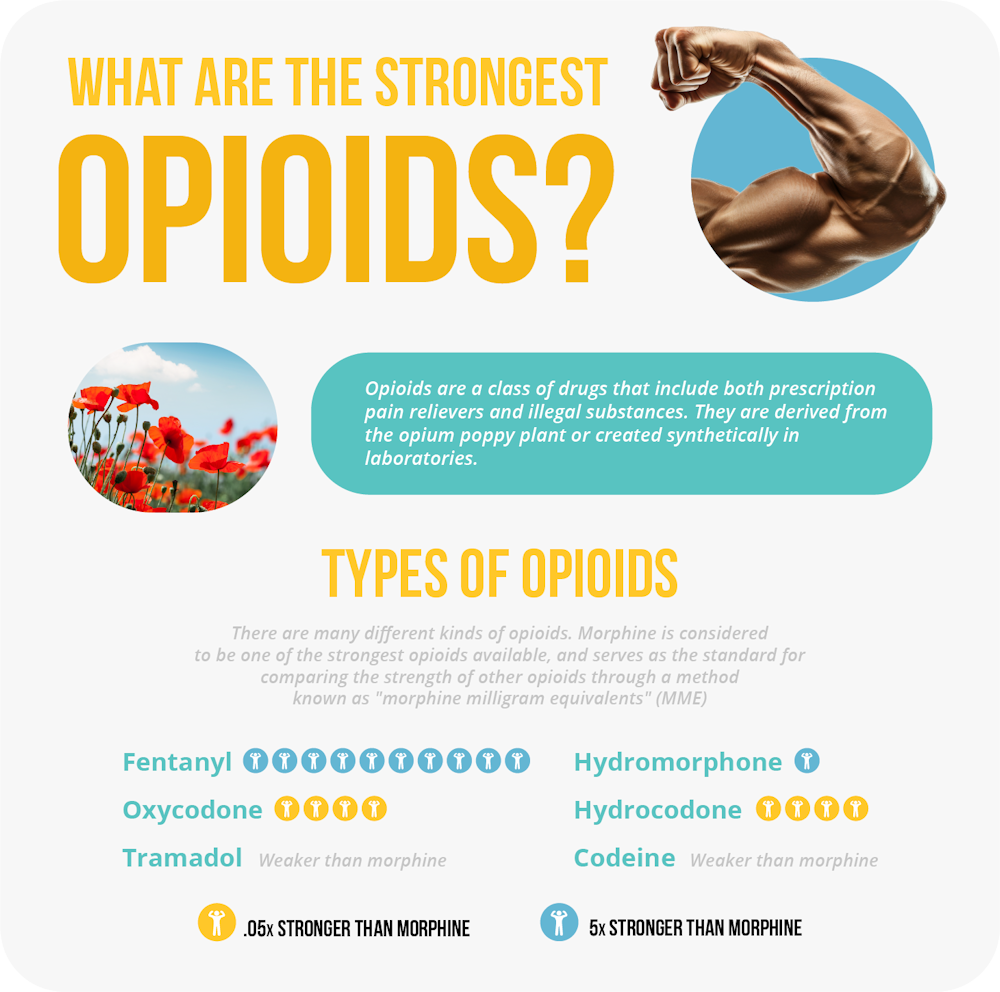 infographics about the strongest and most potent opioid drugs